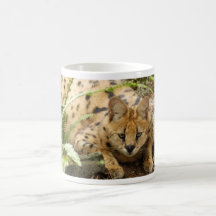 serval 019 tasse à café