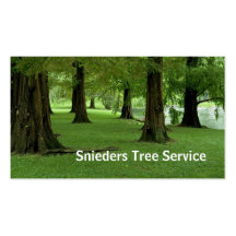 Service de trimmer d'arbre modèle de carte de visite