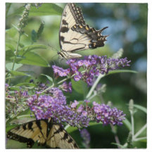 Serviette de cuisine de fleurs de papillon
