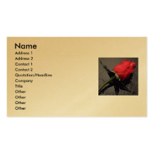 s'est levé carte de visite