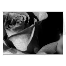 S'est levé en noir et blanc carte