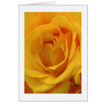 S'est levé en "sorbet de citron " carte de vœux