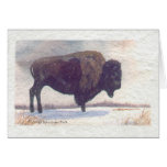 Seul Buffalo de supports Cartes