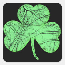 Shamrock affligé par cru stickers carrés