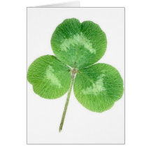 Shamrock de St Patrick Carte