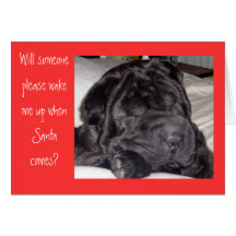 Shar Pei Père Noël Carte De Vœux