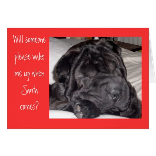 Shar Pei Père Noël Carte De Vœux