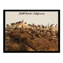 Shell échouent, la Californie Cartes Postales