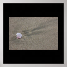 Shell et sable posters