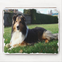 sheltie_mpad2 tapis de souris