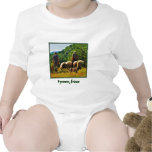 Shepherding en France Barboteuse