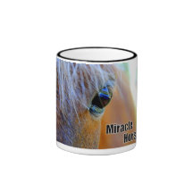 Shetland Mok