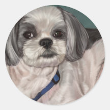 Shih Tzu Adhésif