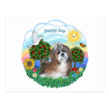 Shih Tzu (brun-blanc) Cartes Postales