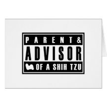 Shih Tzu Cartes De Vœux