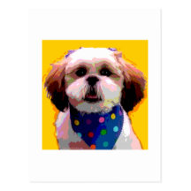 Shih Tzu en à petits pois Cartes Postales