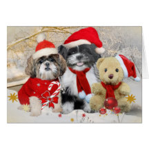 Shih Tzu et carte de Noël d'ours de nounours