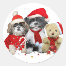 Shih Tzu et carte de Noël d'ours de nounours Adhésif Rond
