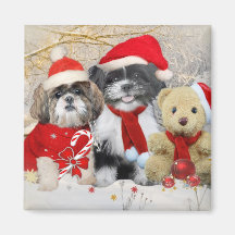 Shih Tzu et carte de Noël d'ours de nounours Magnets Pour Réfrigérateur