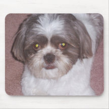Shih Tzu Mousepad Tapis De Souris