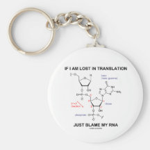Si je suis blâme de Lost in Translation juste mon  Porte-clés