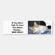Si vous ne parlez pas à votre chat au sujet de cat adhésifs pour voiture