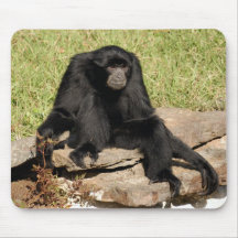 siamang8x10 tapis de souris
