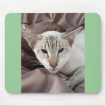 Siamois, point de chat tigré de chocolat tapis de souris