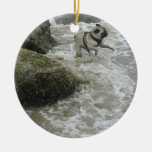 Sid de façon précieuse à la plage décoration de noël