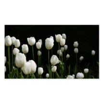 Signet blanc de tulipes cartes de visite professionnelles