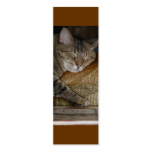 Signet de sommeil de Kitty Cartes De Visite Professionnelles