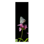 Signet gris de papillon de Hairstreak Modèle De Carte De Visite