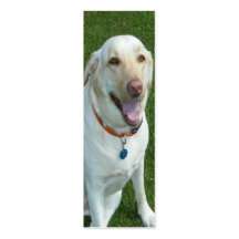 Signet jaune de labrador retriever avec des initia cartes de visite personnelles