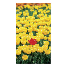 Signet jaune et rouge de tulipes cartes de visite personnelles