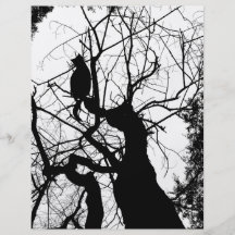 SILHOUETTE B&W D'ARBRE DE KITTY PROSPECTUS EN COULEUR