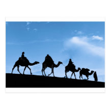 Silhouette de caravane de chameau cartes postales