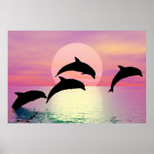 Silhouette de dauphin posters