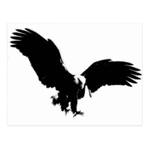 Silhouette d'Eagle chauve Carte Postale