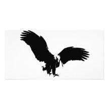 Silhouette d'Eagle chauve Cartes Avec Photo