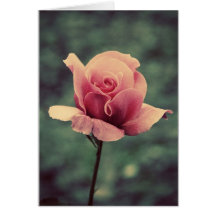 Simplement un rose… cartes de vœux