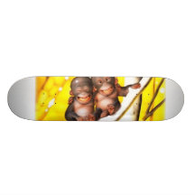 Singe Budds Plateau De Skate