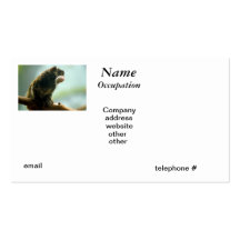 Singe de Tamarin Modèle De Carte De Visite
