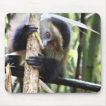 Singe d'or dans la jungle africaine tapis de souris