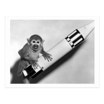 Singe - la NASA - les années 1950 Cartes Postales