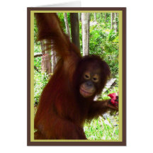 Singe pour la pastèque cartes