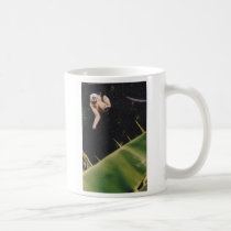 Singe tasses