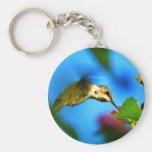 Siroter de colibri porte-clefs