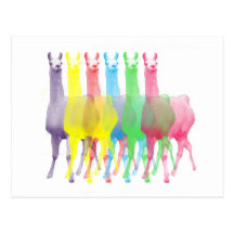 six lamas dans six couleurs de lama cartes postales