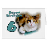 Sixième carte heureuse de chat de calicot d'annive
