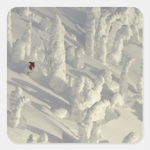 Skieur alpin dans les snowghosts épais à grand autocollants carrés